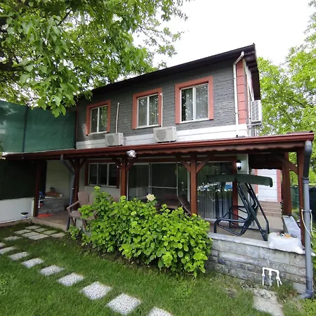 Dues Bahcesi Villa