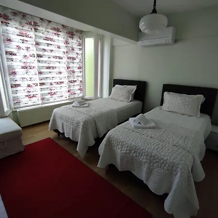 Dues Bahcesi Villa Sapanca